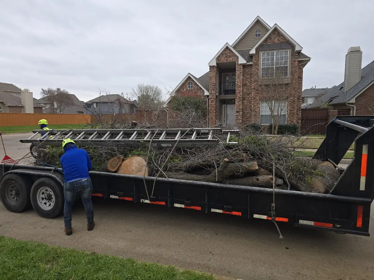 Expert Lot Clearing with proper safety equipment in Worthington
